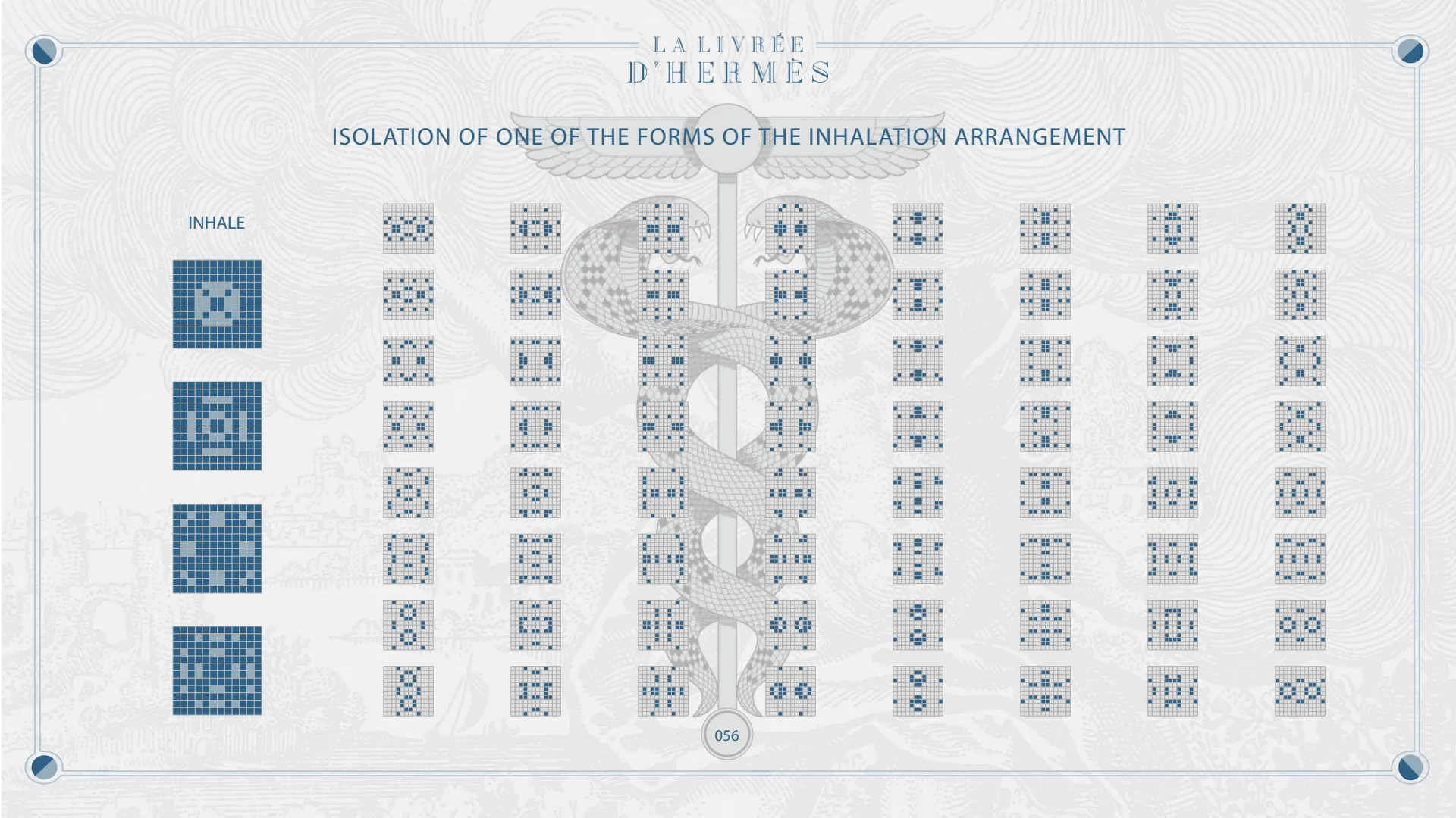Isolation of one of the forms of the inhalation arrangement.
