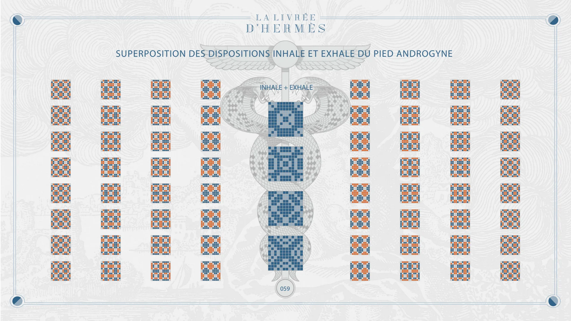 Superposition des dispositions inhale et exhale du pied androgyne.